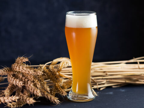 Types of Beer: The Most Popular From Around the World - Beer Advisory